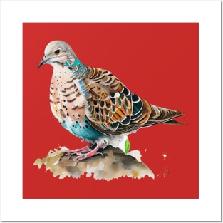 Turtle Dove Watercolor 2.0 Posters and Art